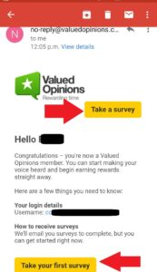 Valued Opinions Survey