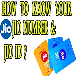 how to know my jio number in mobile