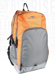 (🔥Hot) Flipkart Metronaut Backpacks in Just ₹254(Worth ₹1499)(80% Off)