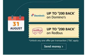 Amazon Send Money Fest - Dominos Offer