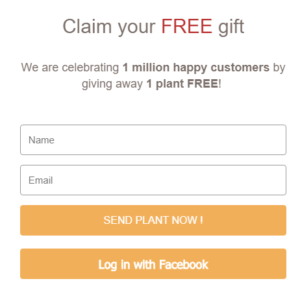 NurseryLive Free Plant Offer