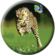 Hansa Cheetah Survey Free PayTM Cash