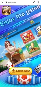 Vegas Fun WinGo 365 Club App Refer Earn