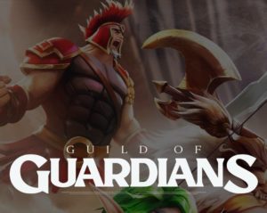 GuildOfGuardians Air Drop