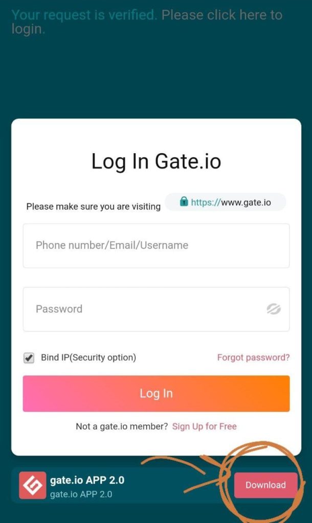 how to send usdt to gate.io