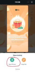 Hoo Draw Blind Boxes