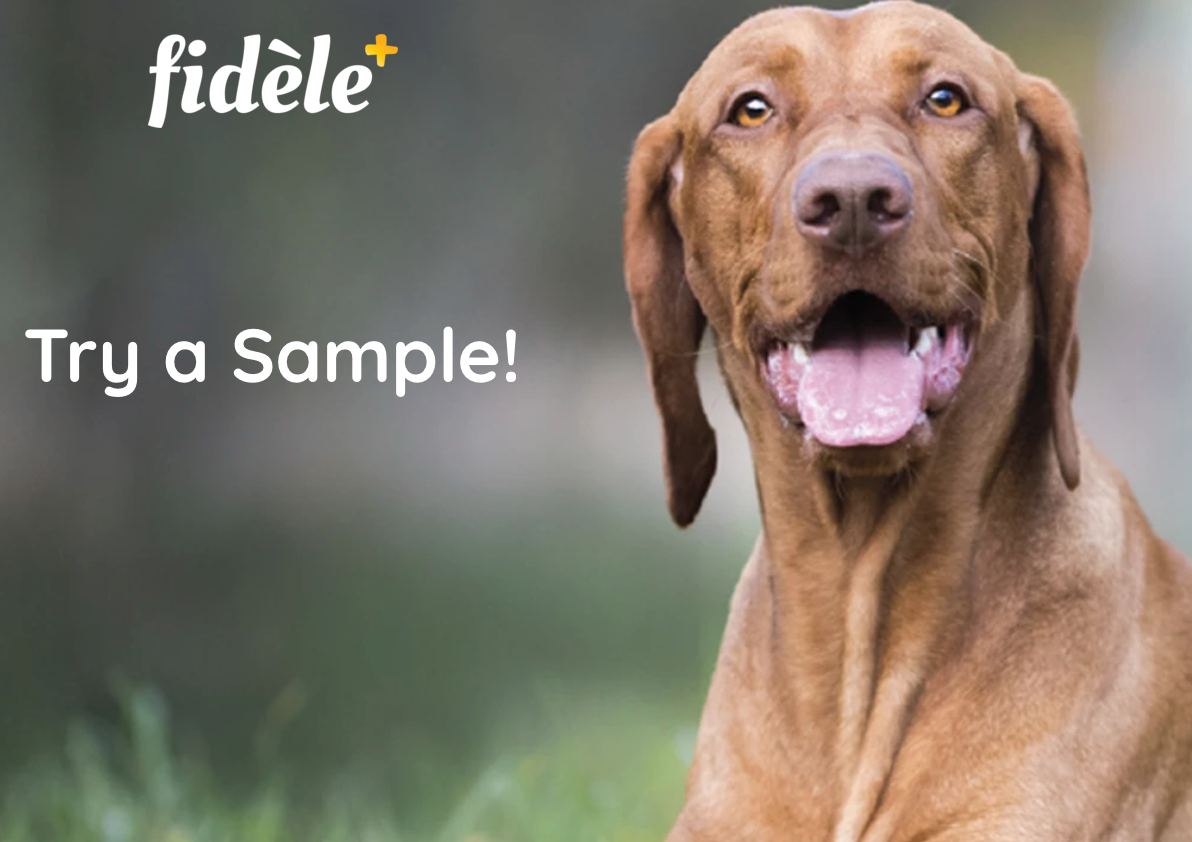 Get Fidele+ Dog Food Samples For Free