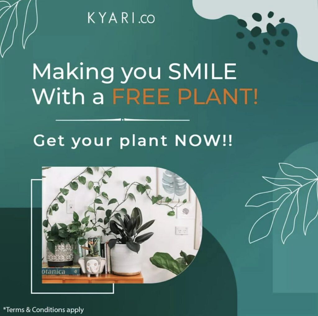 Order Absolutely Free Plants From 'Kyari' | Home & Office Decor