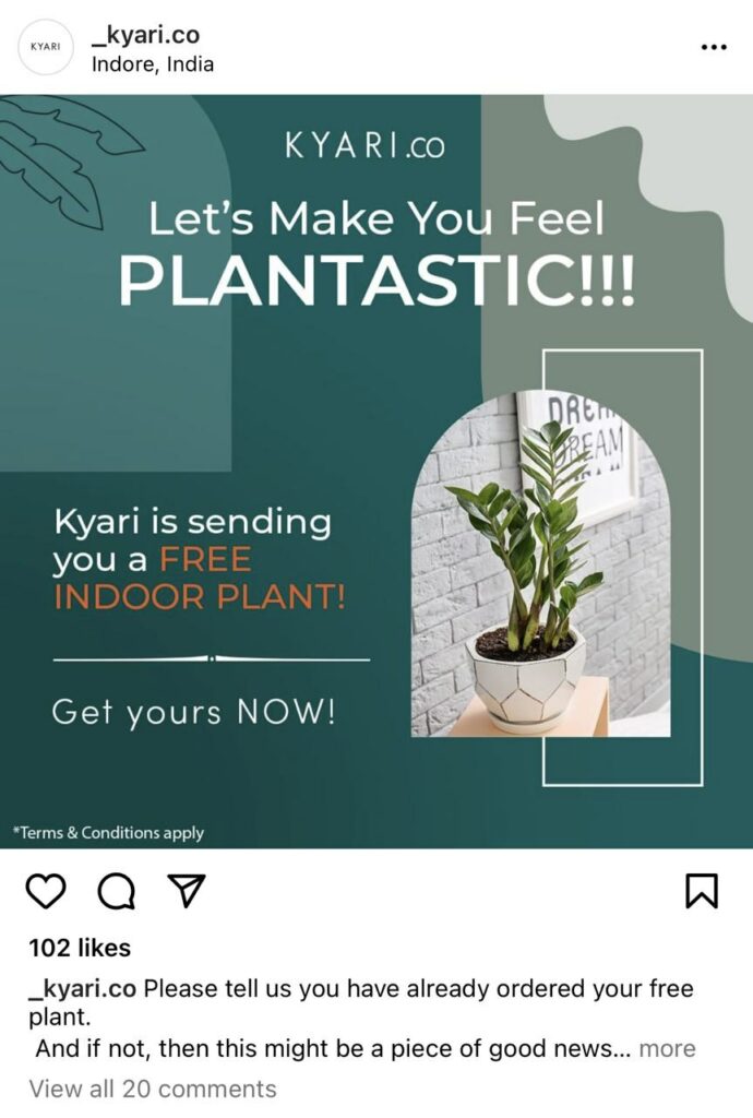 Order Absolutely Free Plants From 'Kyari' | Home & Office Decor