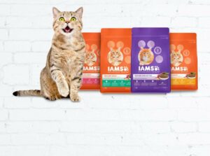 IAMS Dog Cat Food Free Sample