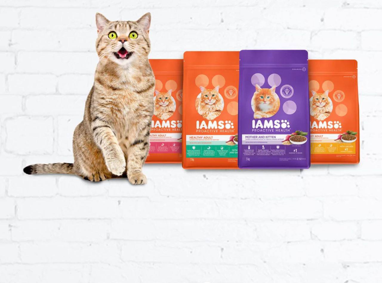 FREE Dog & Cat Food Samples In India From 'IAMS' | Small Shipping