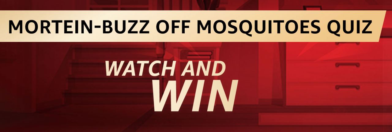 Amazon Mortein Buzz Off Mosquitoes Quiz Answers