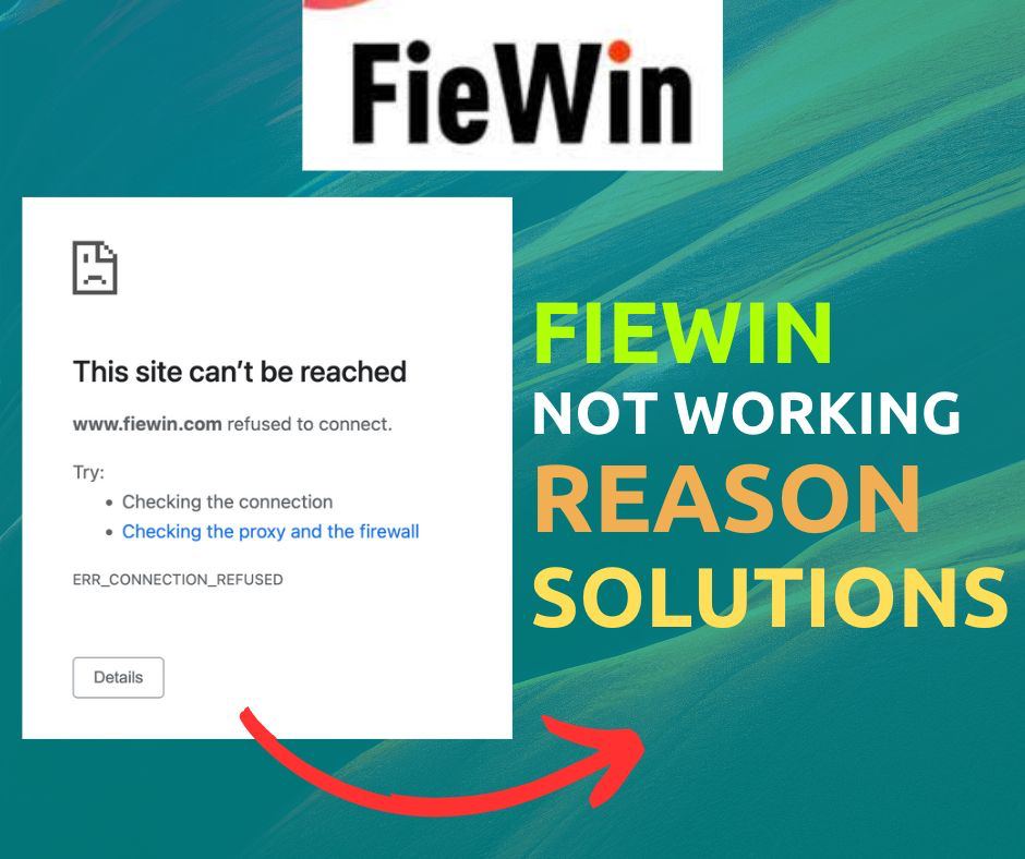 Fiewin Not working solution Reasons & Solutions
