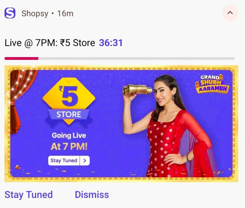 Shopsy ₹5 Store | Get Products In Just Under ₹5 Only