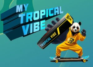 My Tropical Vibe Game Free PayTM Cash